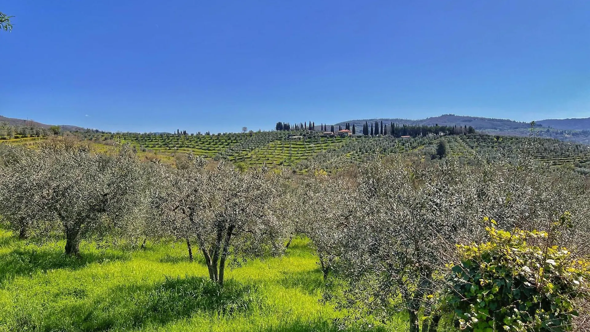 Corte Di Muciafora Borgo a Giovi 0*,  İtalya