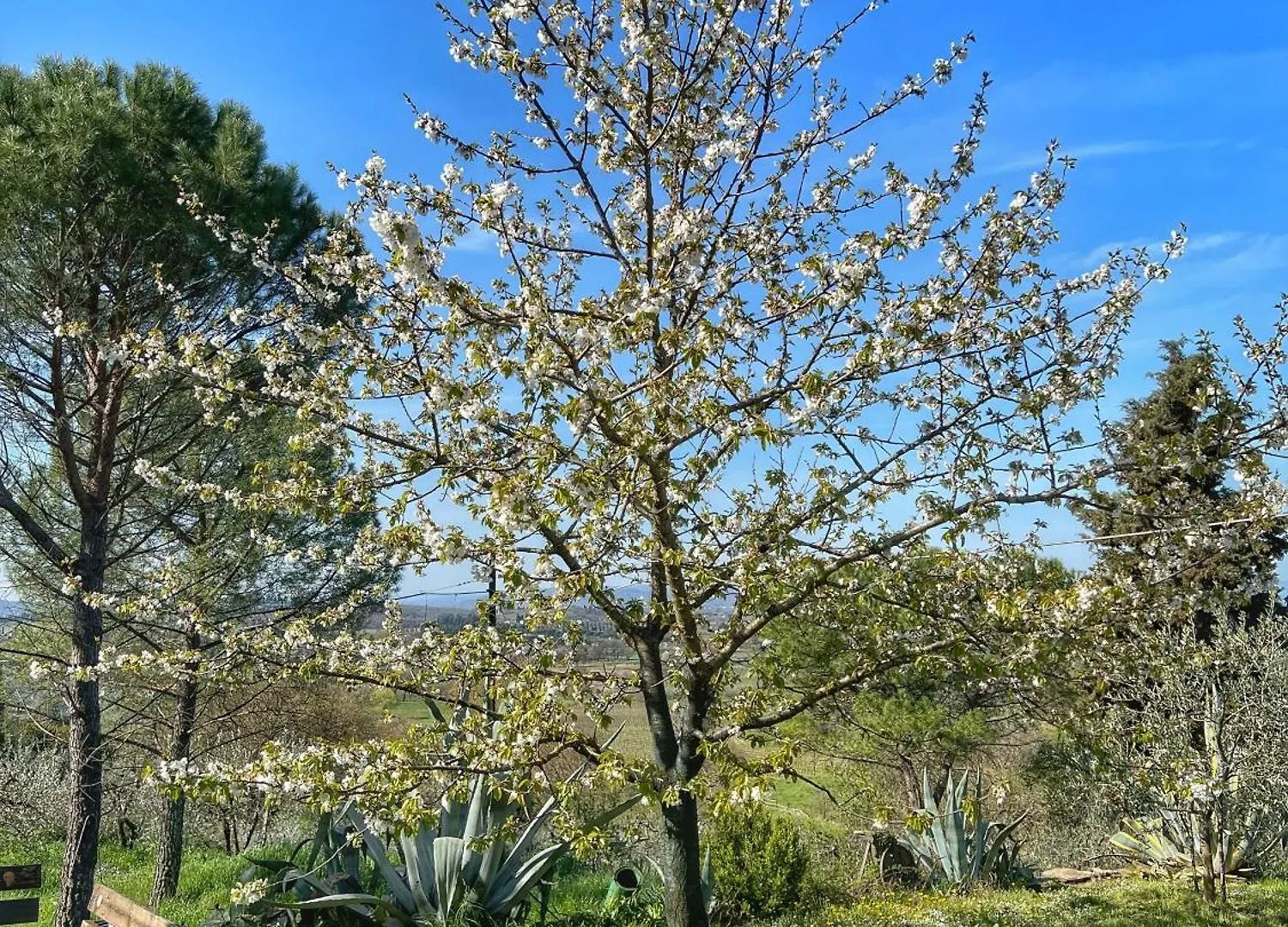 Corte Di Muciafora Borgo a Giovi İtalya