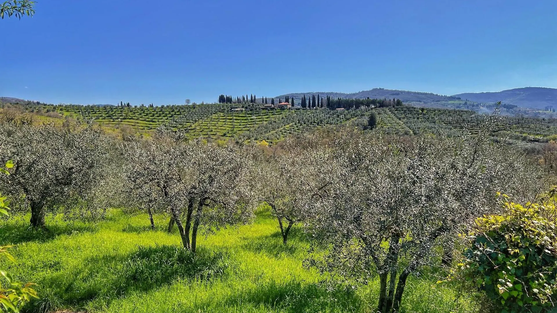 Daire Corte Di Muciafora Borgo a Giovi