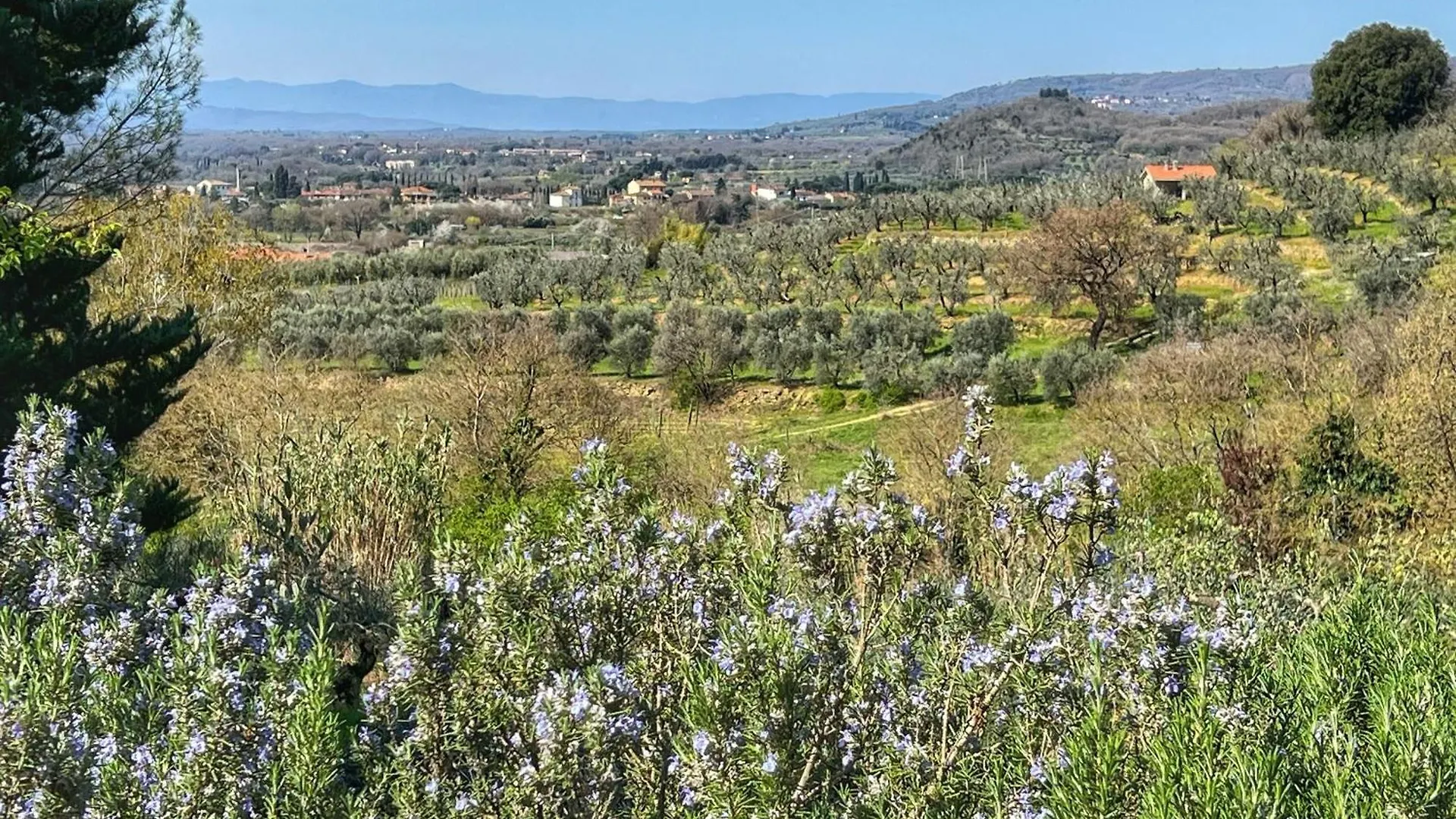 Corte Di Muciafora Borgo a Giovi 0*,