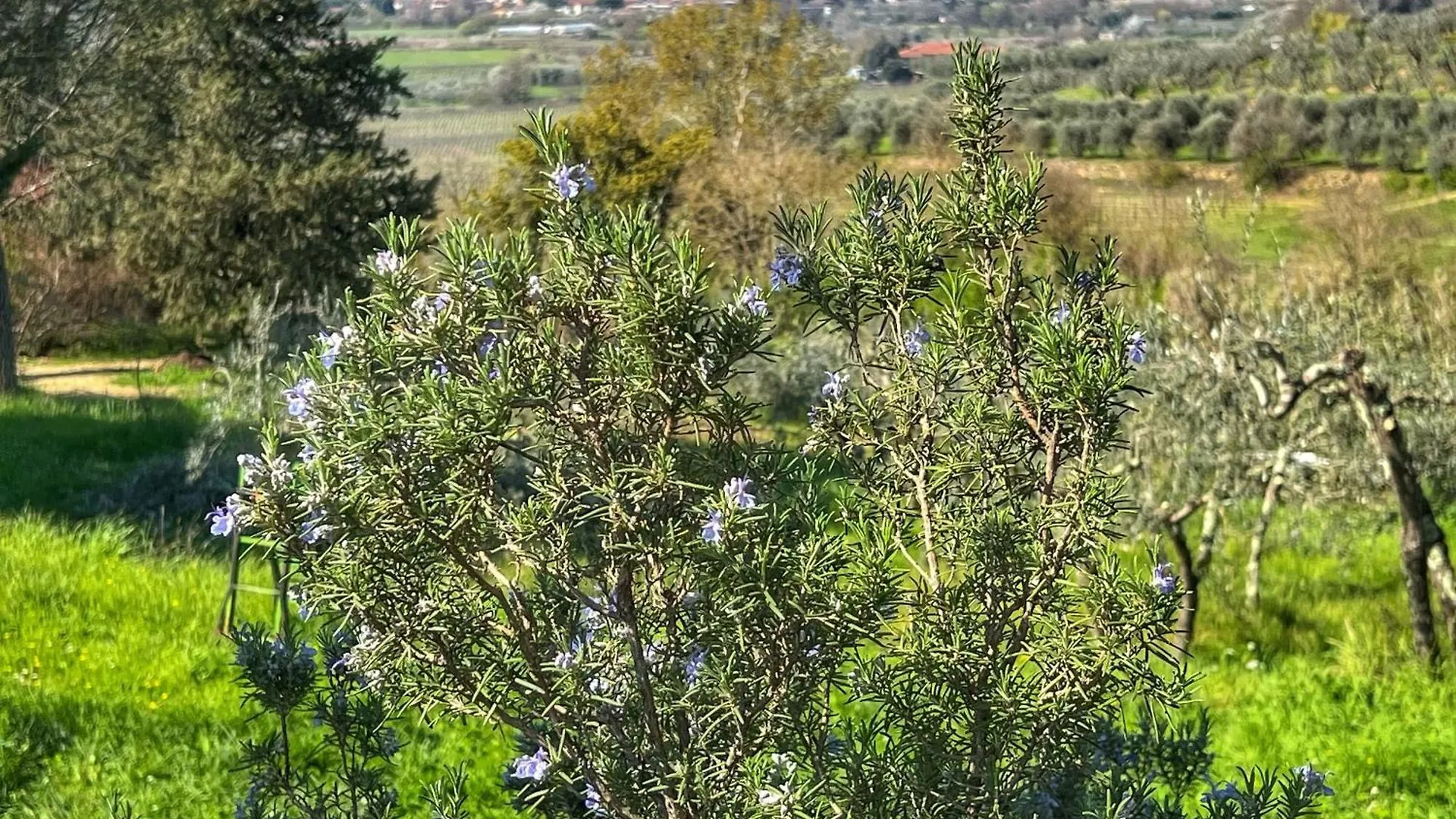 Corte Di Muciafora Borgo a Giovi Apartment